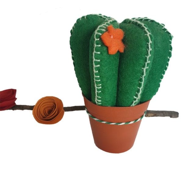 Cactus feltre